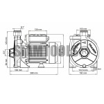 ปั๊มหอยโข่ง ใบพัดทองเหลือง ขดลวดทองแดง-TSM.50M-0.5HP(1"x1") เครื่องมือการเกษตร