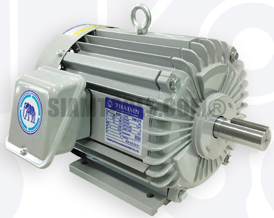 มอเตอร์ไฟฟ้า 3 สายตราช้างยนต์ TSM -1TF(IP55)