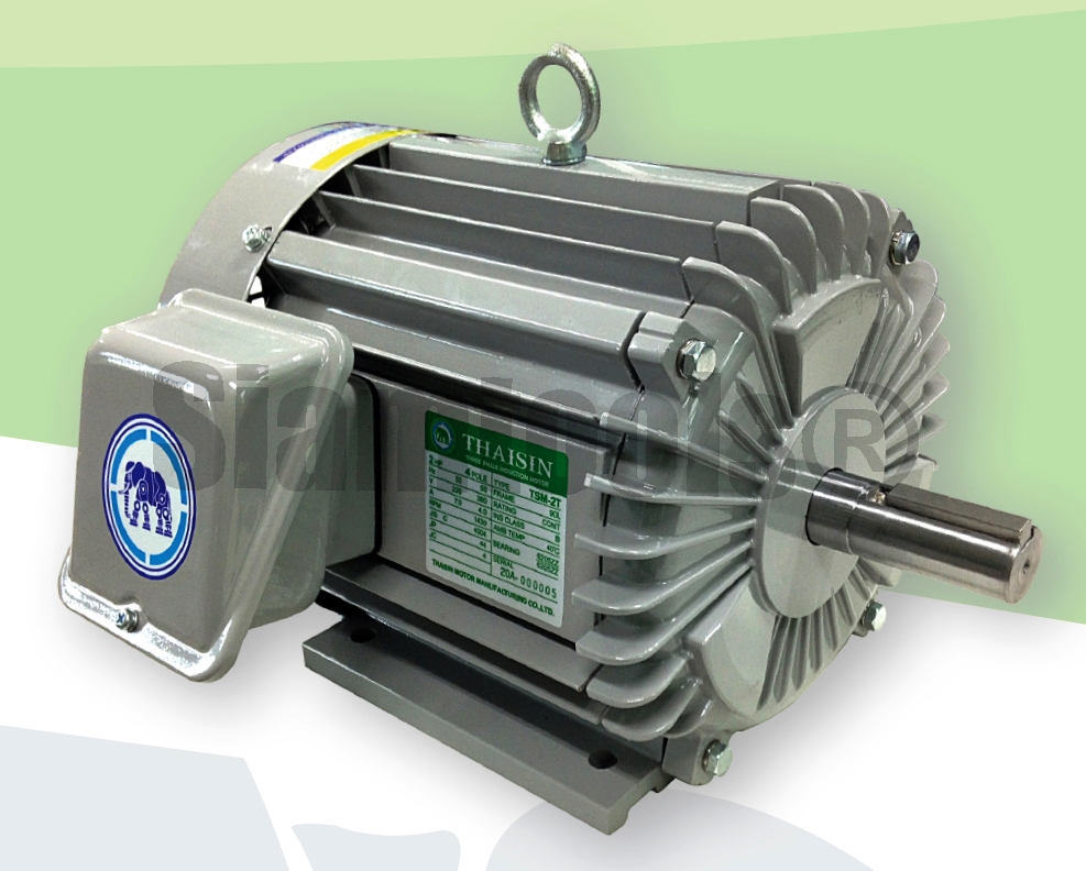 มอเตอร์ไฟฟ้า 3 สายตราช้างยนต์ TSM-3T-3HP(IP44)
