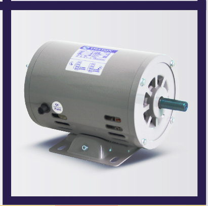 มอเตอร์ไฟฟ้าช้างยนต์ TSM-1/4-1/4HP