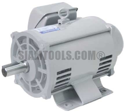 มอเตอร์ไฟฟ้าตราช้างยนต์ TSM-2 -2HP