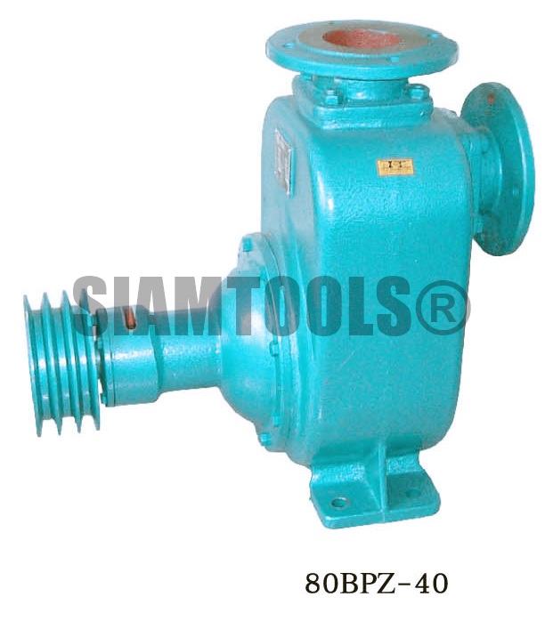 ปั๊มหอยโข่งพร้อมหน้าแปลน JINLONG-80BPZ-40