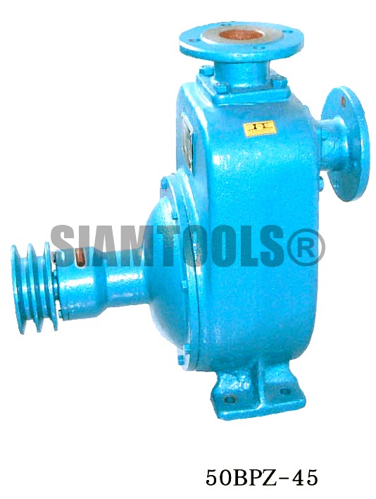 ปั๊มหอยโข่งพร้อมหน้าแปลน JINLONG-50BPZ-45