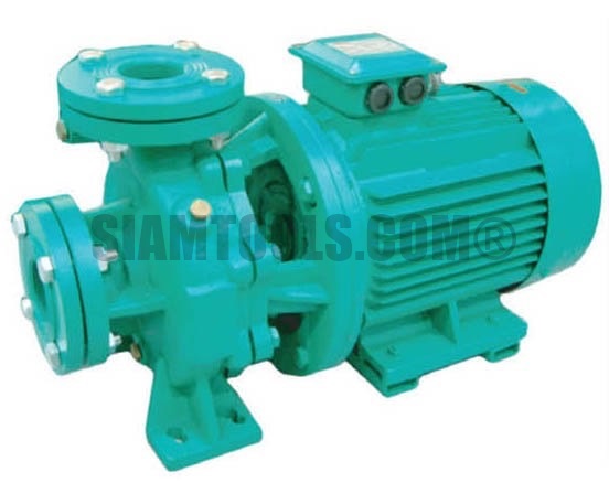 ปั๊มหอยโข่ง(อิตาลี) THF150, THF200, THF250-(2"X2")