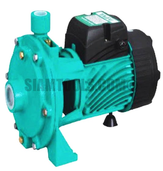 ปั๊มหอยโข่ง(อิตาลี) 2TCP25/130, 2TCP25/140M, 2TCP25/160B, 2TCP25/160A-(1.1/4"X1")