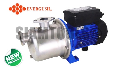 ปั๊มเจ็ท หัวสเตนเลส EVERGUSH- EKLBJ-4125 (1"x1") 0.5HP
